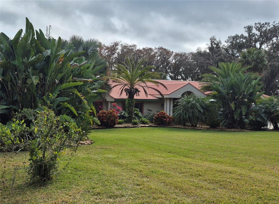 House in Leesburg, Florida, United States 3 - 17185948