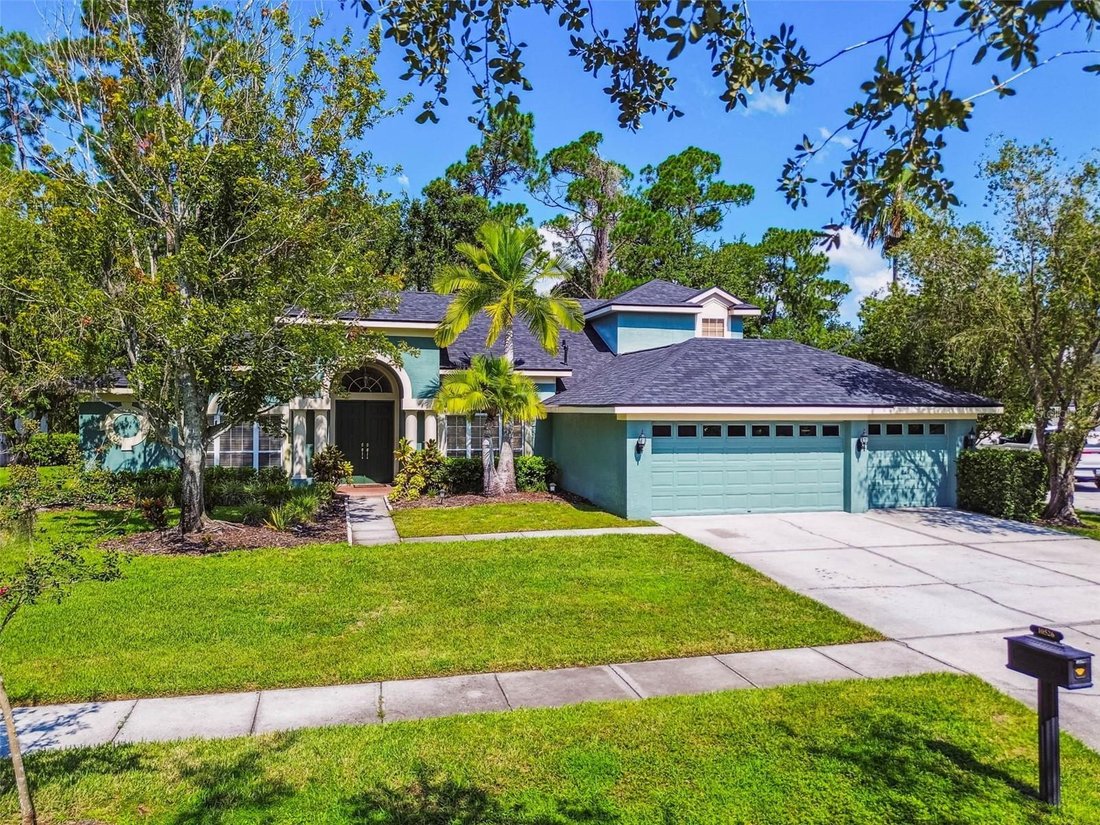 House in Tampa, Florida, United States 3 - 17184628