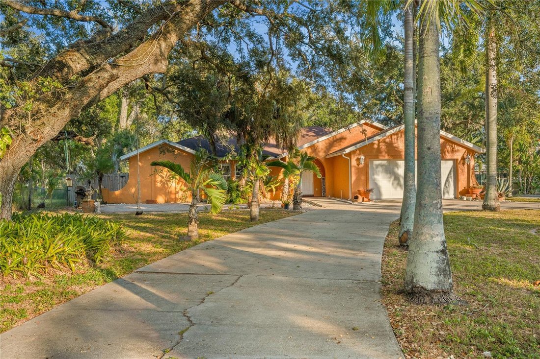 House in Bradenton, Florida, United States 5 - 17187044