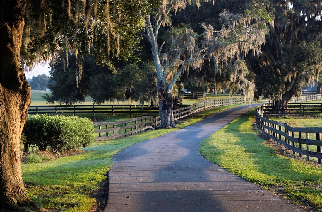 House in Ocala, Florida, United States 4 - 17186815