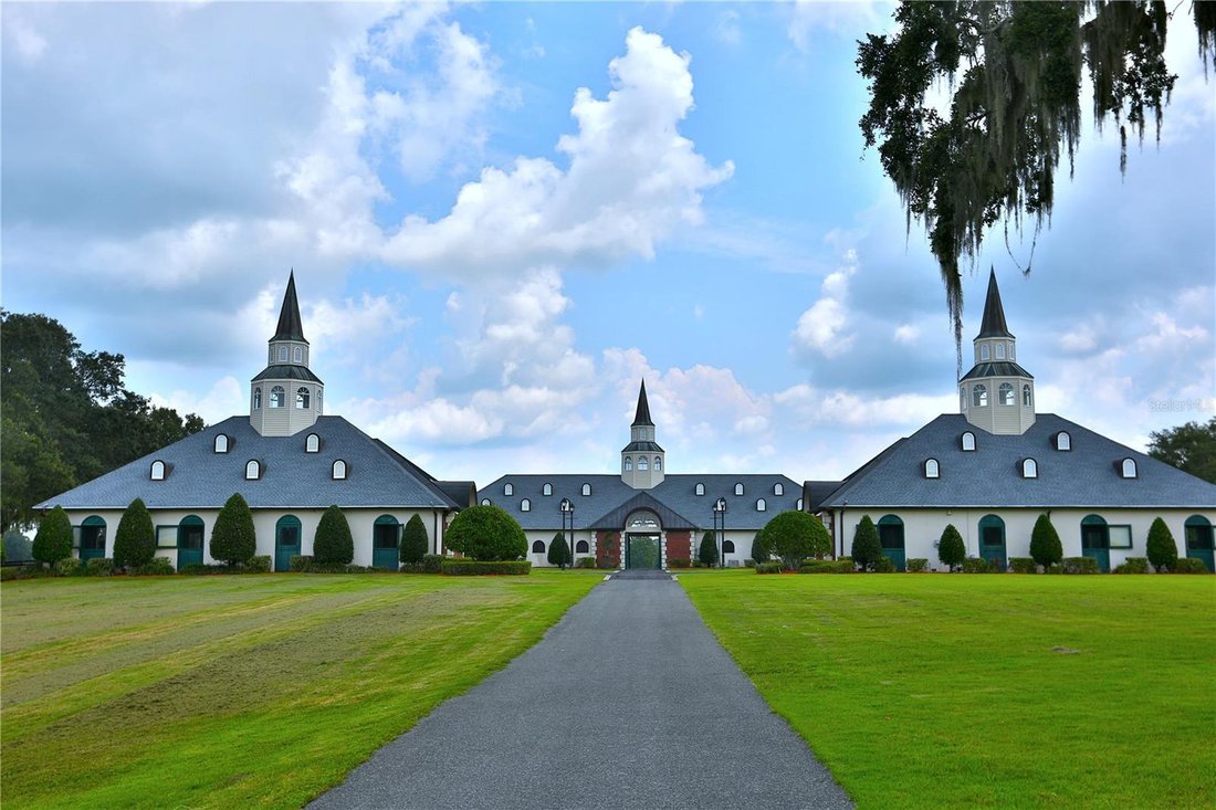 Land in Micanopy, Florida, United States 1 - 17179569