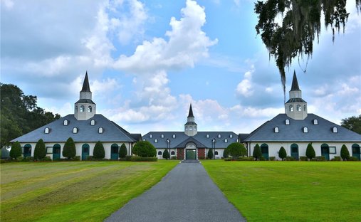 Land in Micanopy, Florida, United States 1