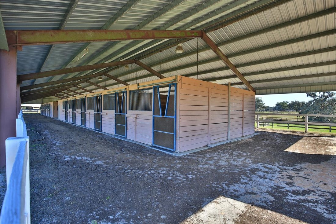 Land in Ocala, Florida, United States 4 - 17180512