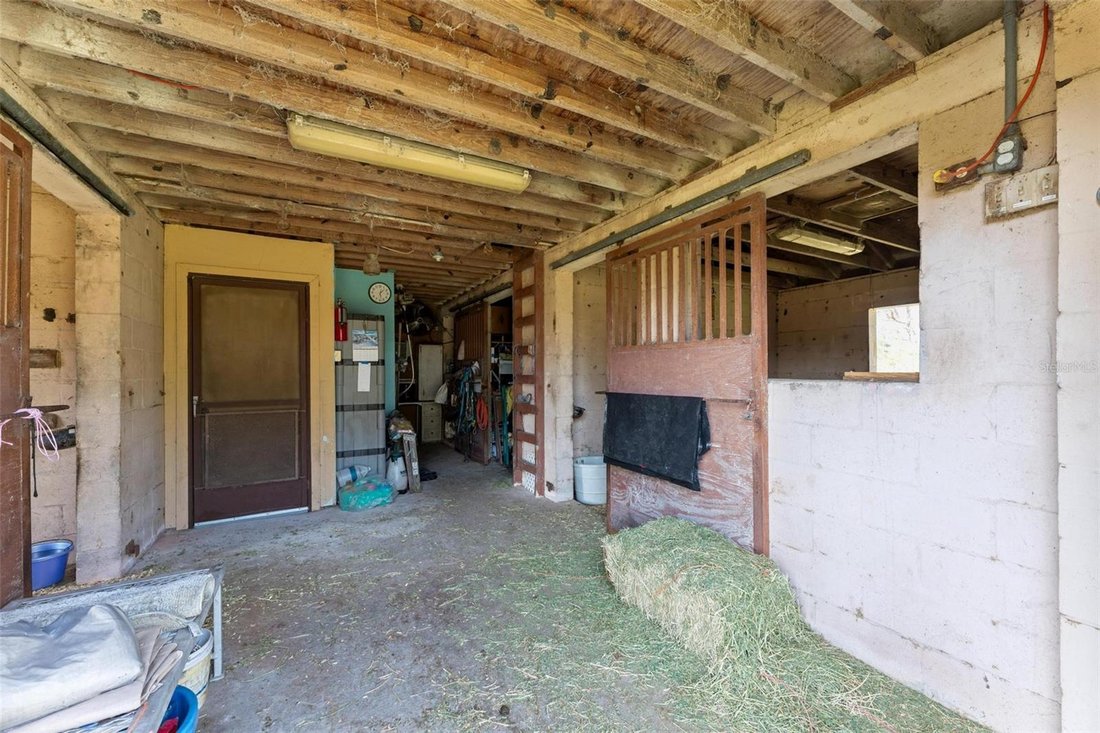 Farm Ranch in Seville, Florida, United States 5 - 17184112