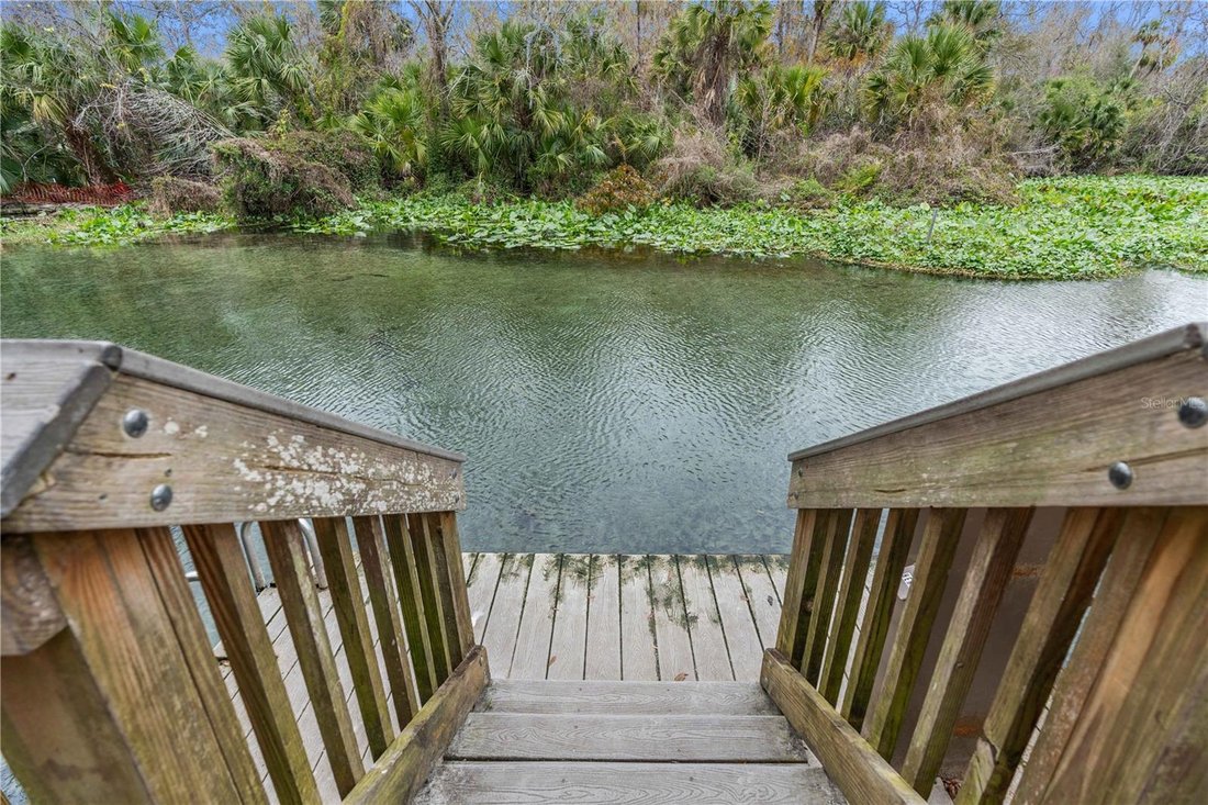 House in Apopka, Florida, United States 4 - 17188278