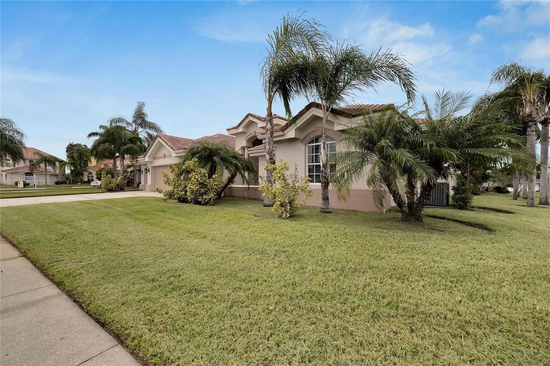 House in Tampa, Florida, United States 4 - 17187406