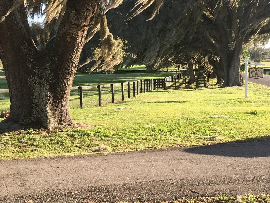 Land in Ocala, Florida, United States 3 - 17178378