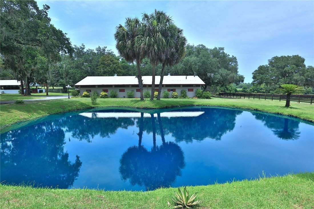 Farm Ranch in Reddick, Florida, United States 2 - 17180974