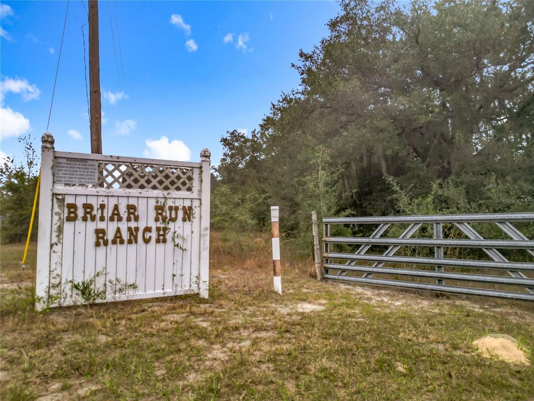 Farm Ranch in Dunnellon, Florida, United States 5 - 17186822