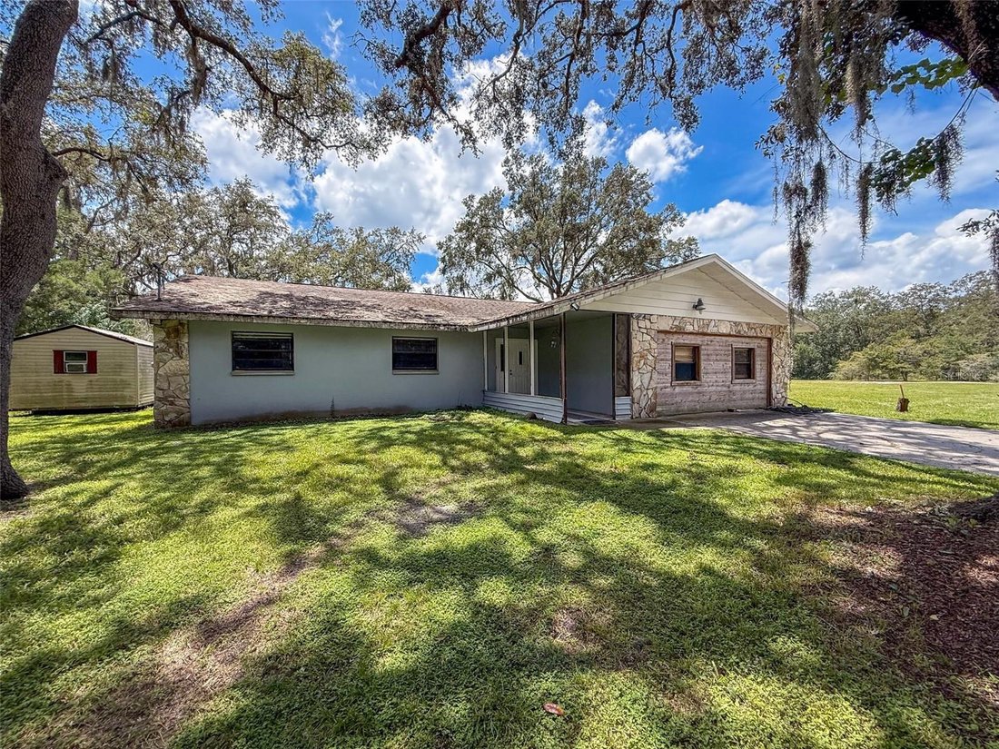 House in Odessa, Florida, United States 3 - 17186409
