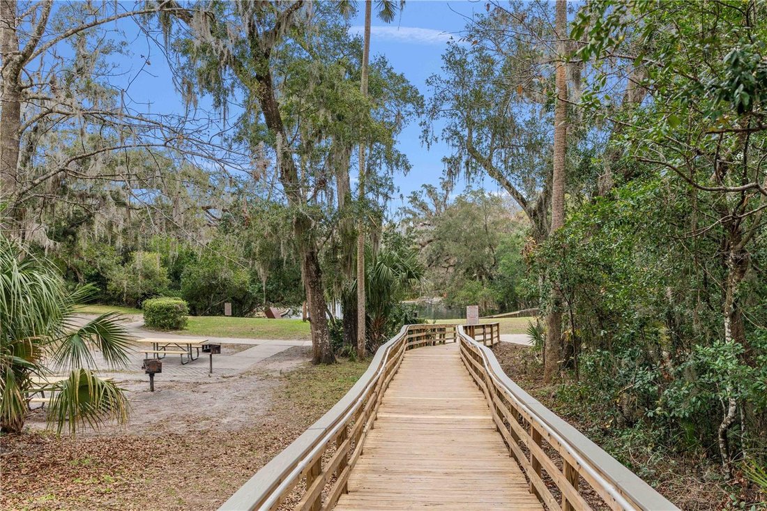 House in Apopka, Florida, United States 5 - 17188278