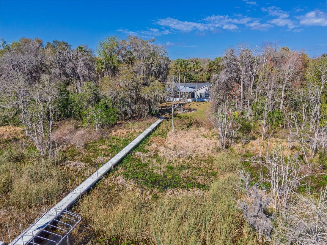 Ocklawaha, Florida, United States 5 - 17187006
