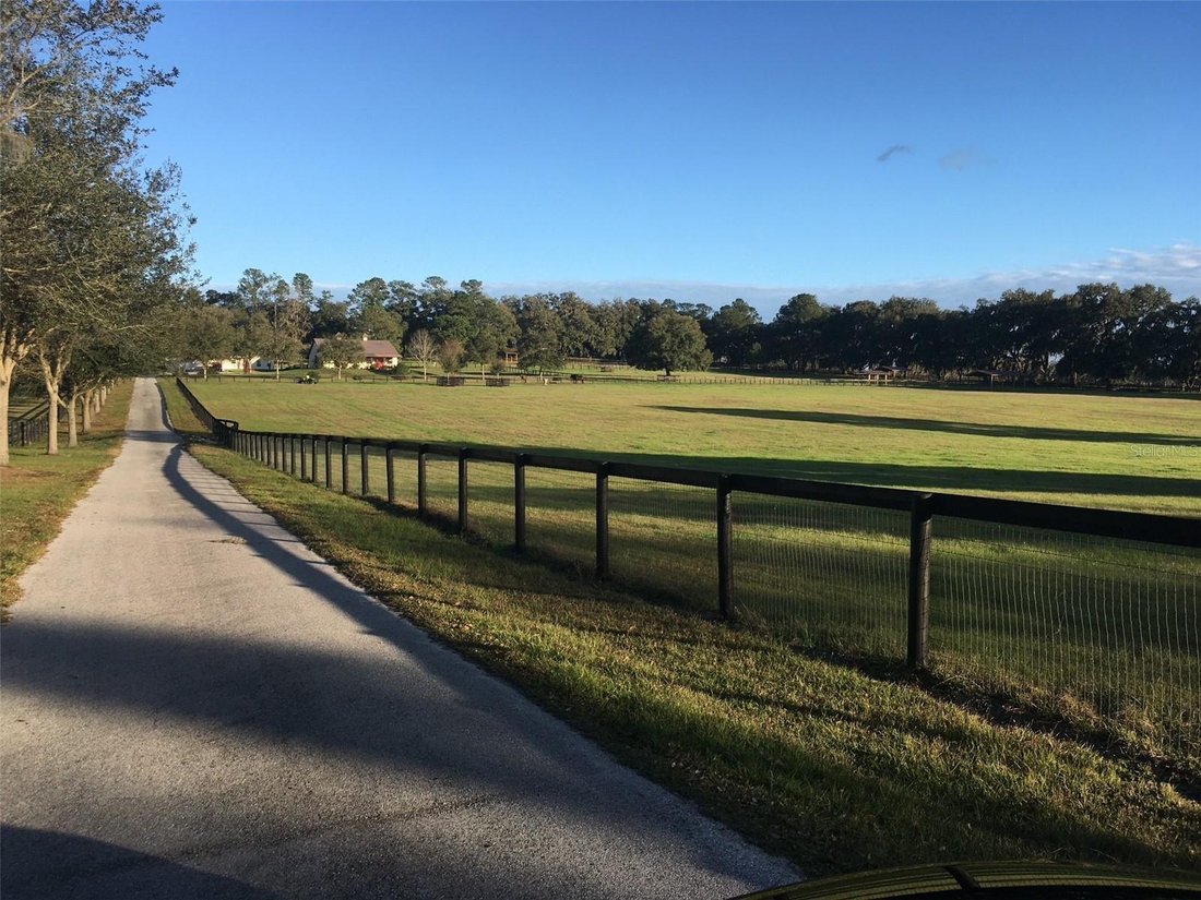 Land in Ocala, Florida, United States 4 - 17178378