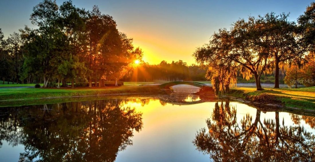 Townhouse in Palm Harbor, Florida, United States 5 - 17179702