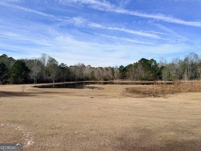 House in Glennville, Georgia, United States 5 - 17158674
