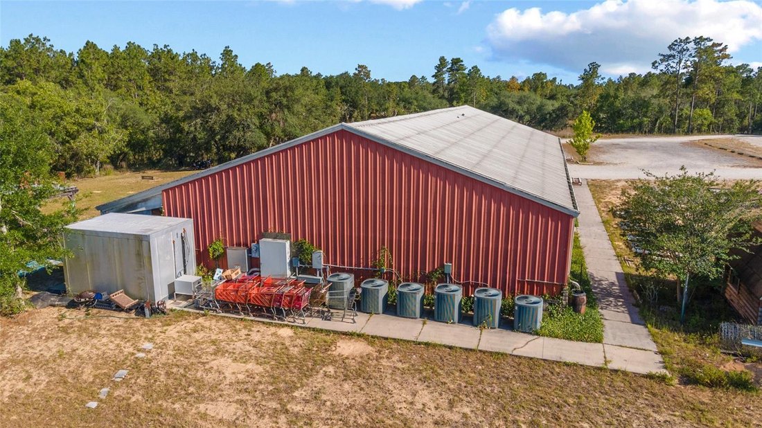 House in Morriston, Florida, United States 4 - 17181493