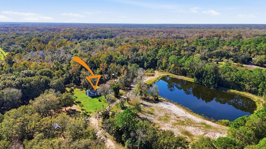 Farm Ranch in Oak Hill, Florida, United States 5 - 17187216