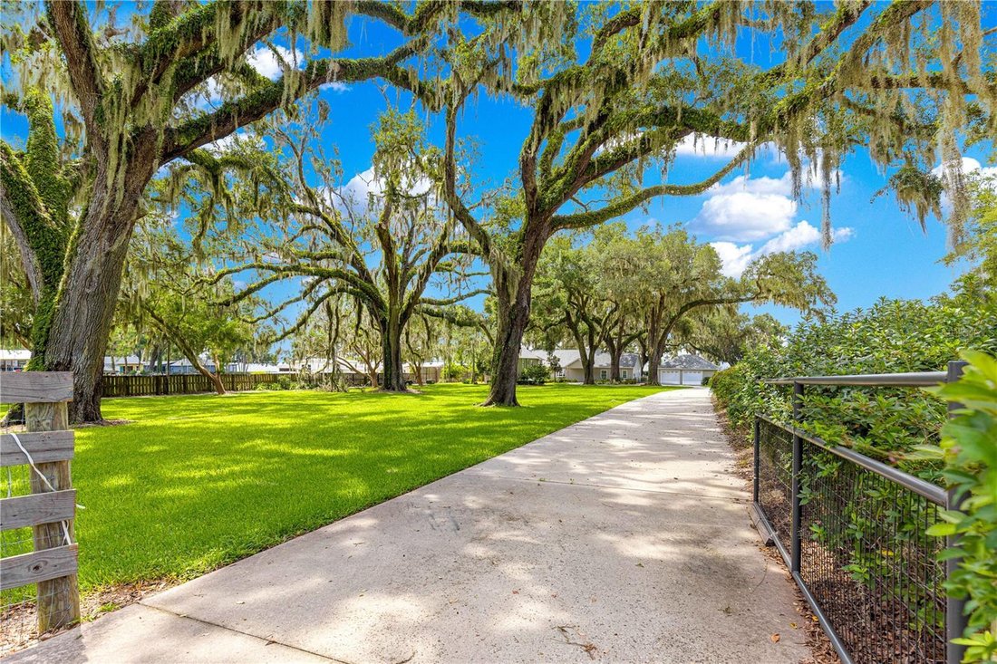 House in Ocklawaha, Florida, United States 5 - 17180763