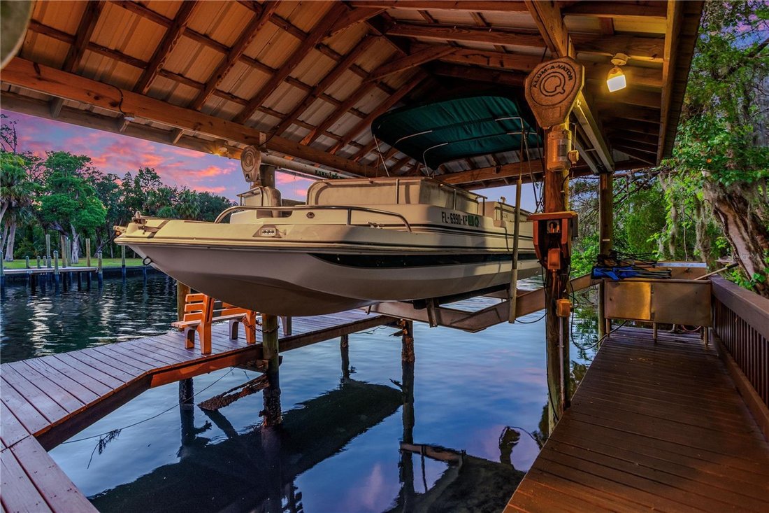 House in Riverview, Florida, United States 3 - 17179149