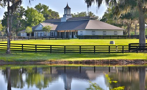 Terrain à Williston, Floride, États-Unis 1