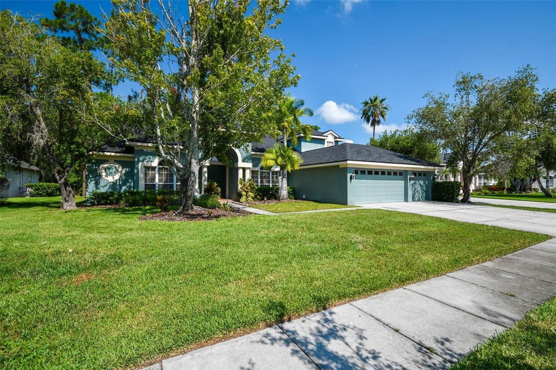 House in Tampa, Florida, United States 4 - 17184628