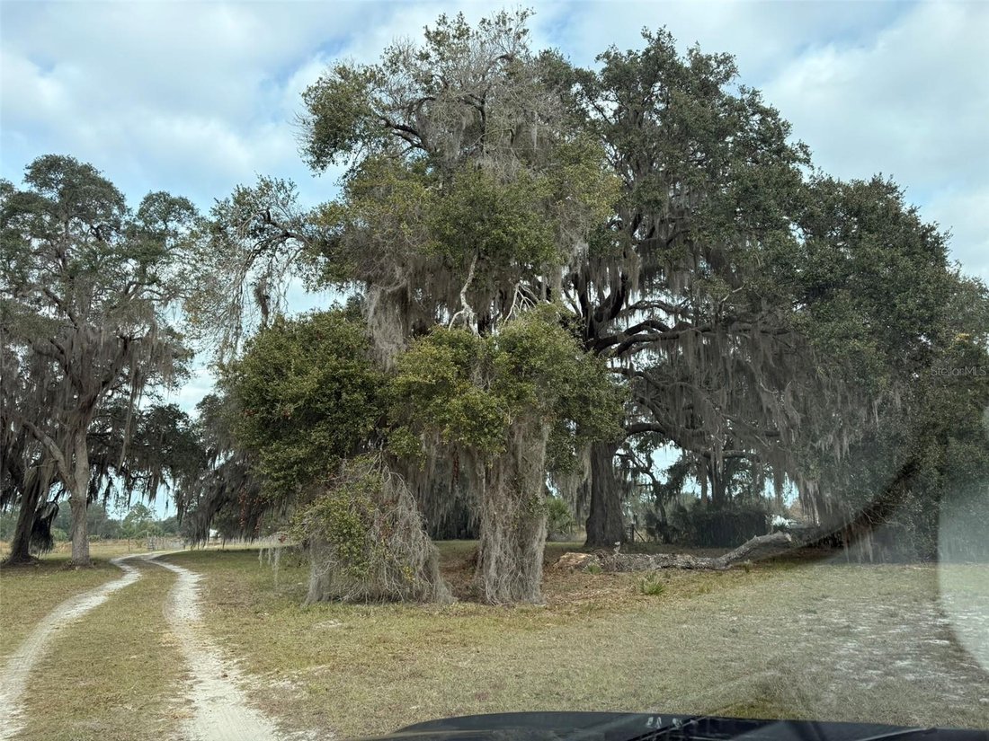 DeLand, Florida, United States 4 - 17184238
