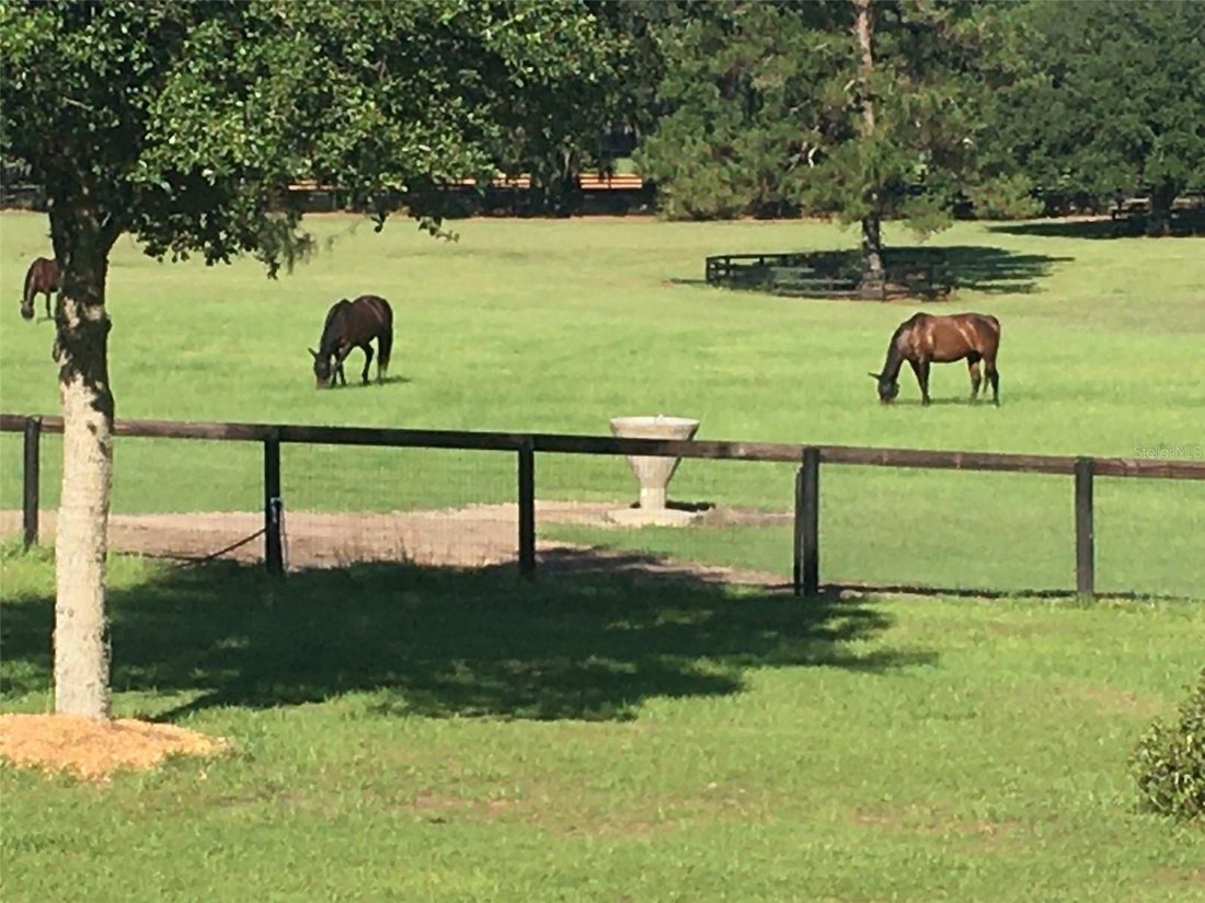 Land in Ocala, Florida, United States 5 - 17178378