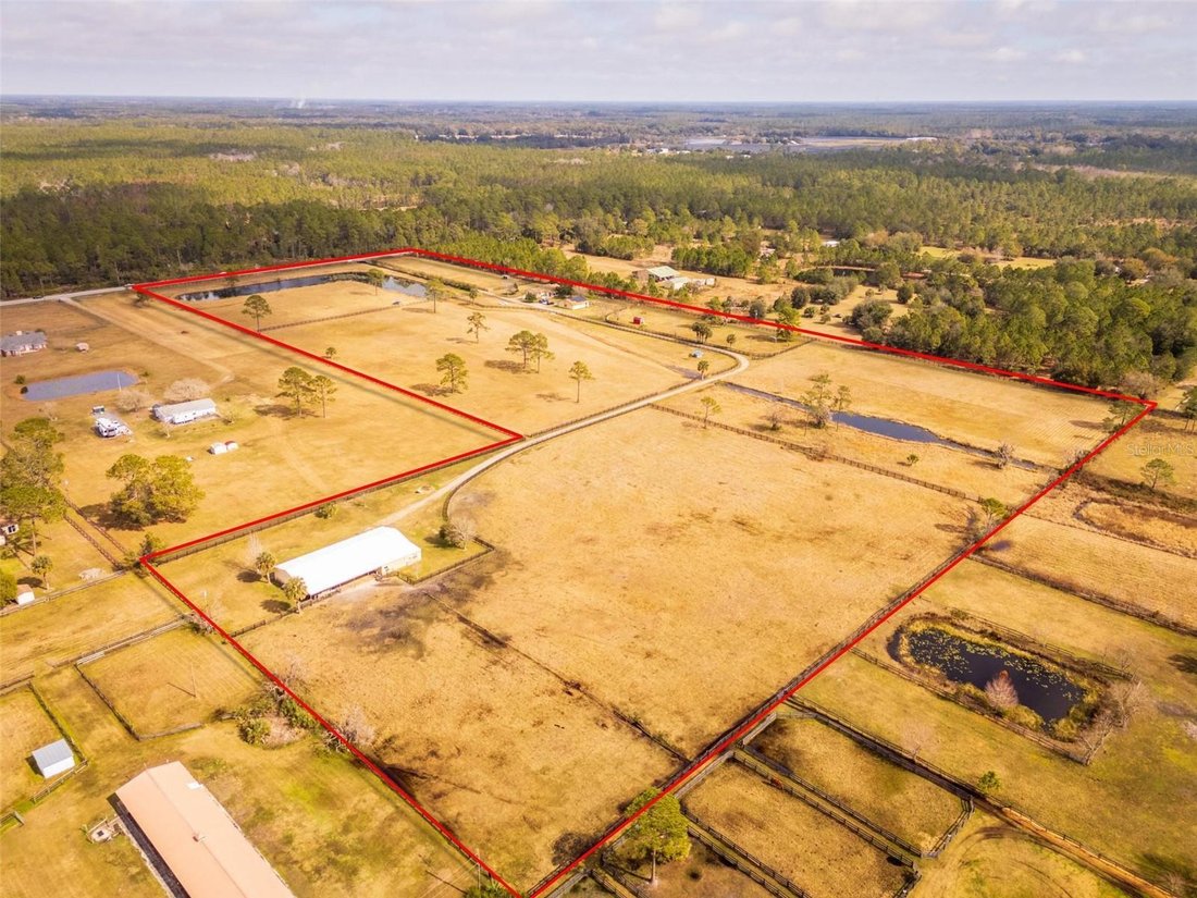 Farm Ranch in Seville, Florida, United States 1 - 17184112