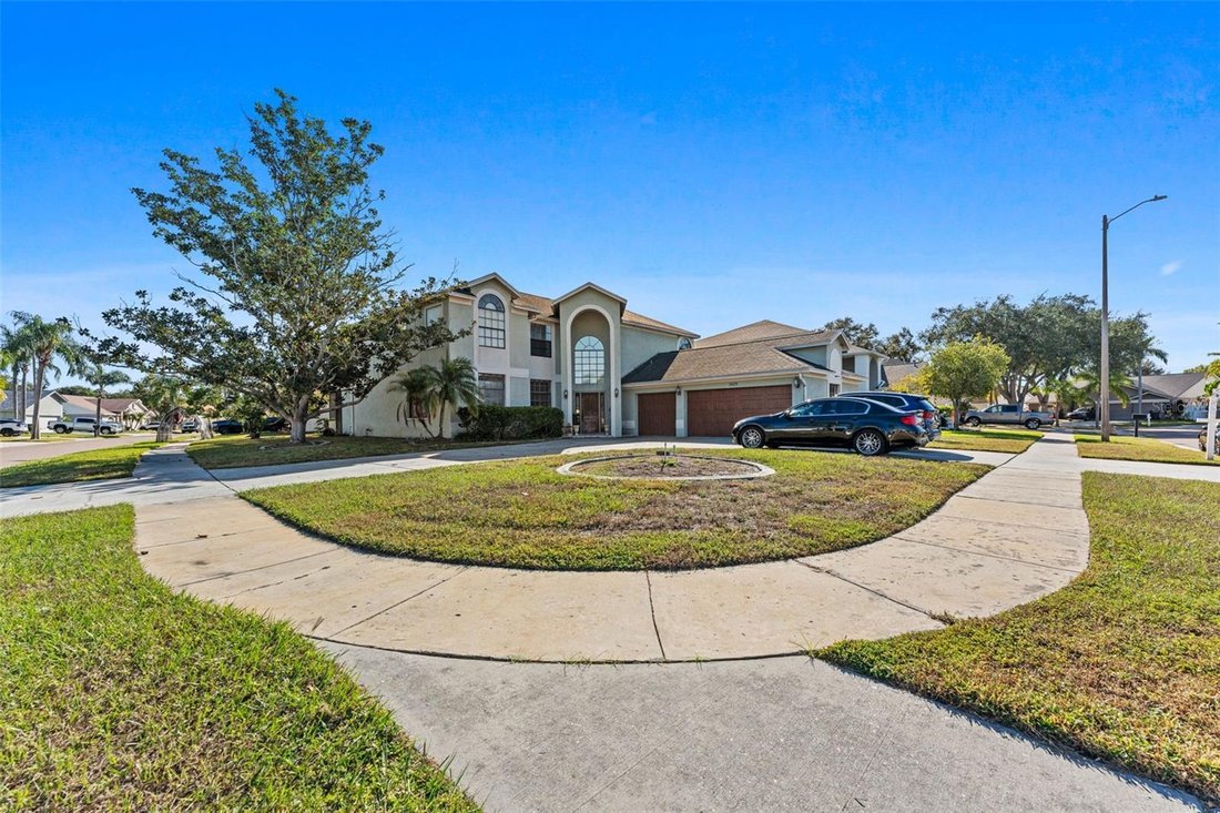 Haus in Tampa, Florida, Vereinigte Staaten 2 - 17185358