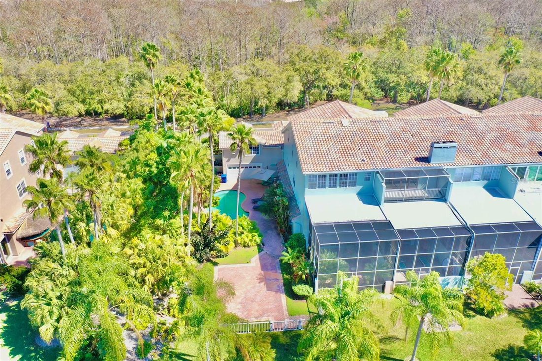 Townhouse in Palm Harbor, Florida, United States 1 - 17179390