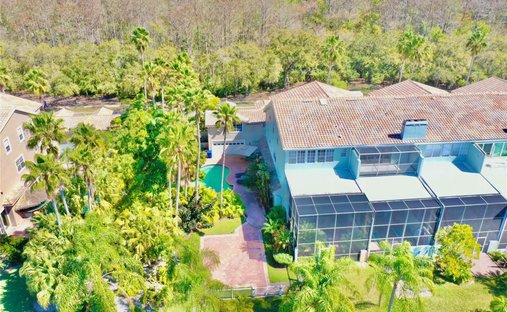 House in Palm Harbor, Florida, United States 1