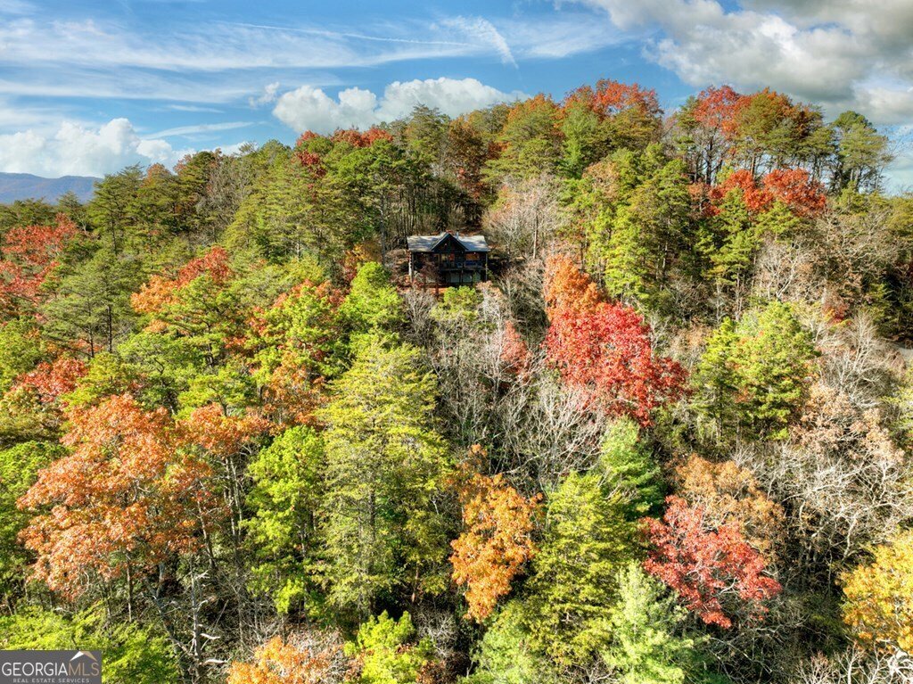 House in Cherry Log, Georgia, United States 4 - 17156548