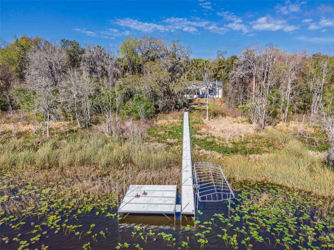 Ocklawaha, Florida, United States 4 - 17187006