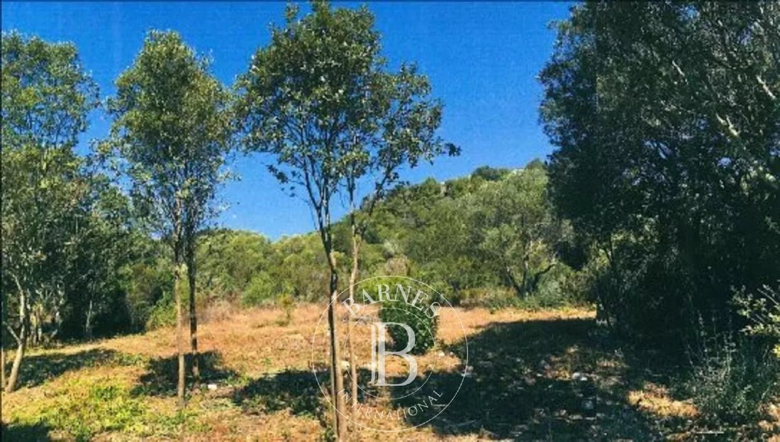 Land in Bonifacio / Bunifaziu, Corsica, France 4 - 17155493