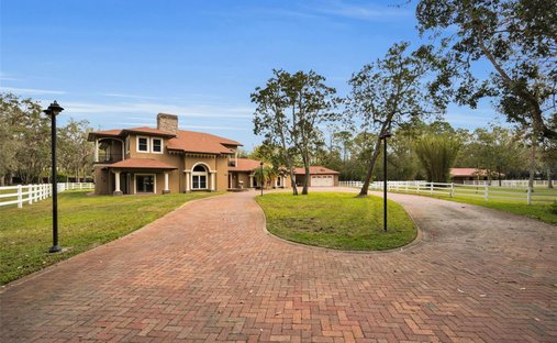 Casa a Tarpon Springs, Florida, Stati Uniti 1