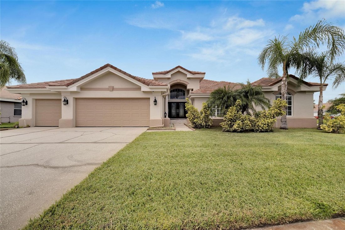 House in Tampa, Florida, United States 1 - 17187406