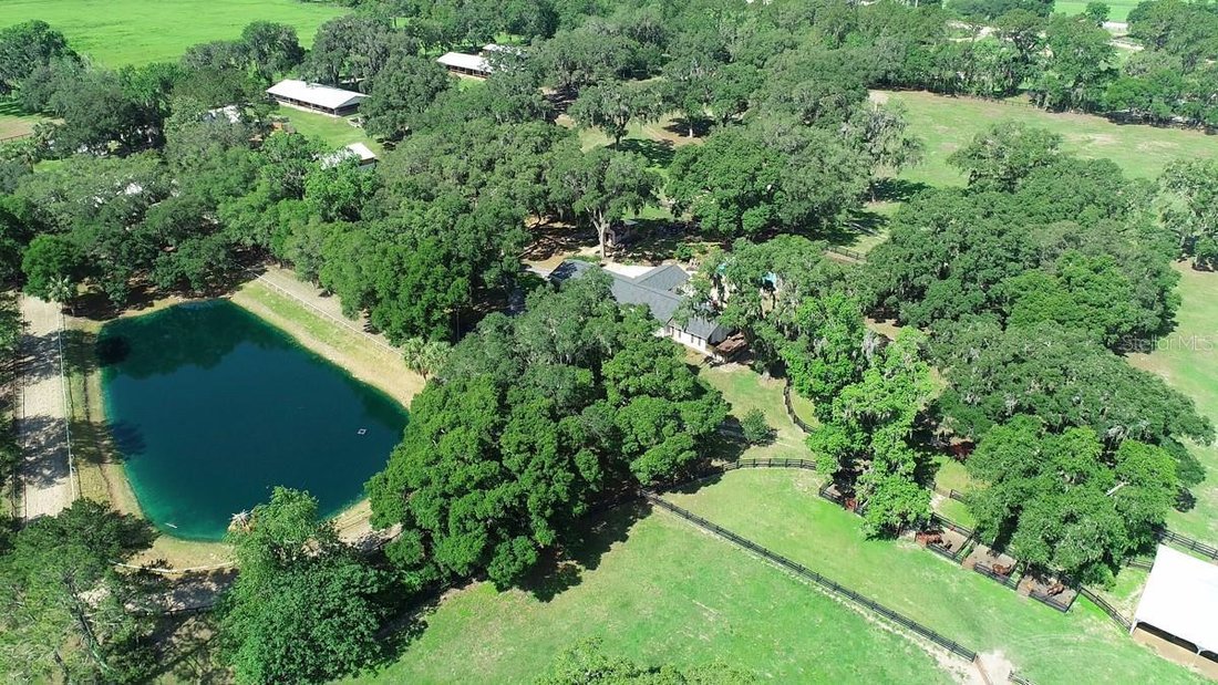 Farm Ranch in Reddick, Florida, United States 3 - 17180974