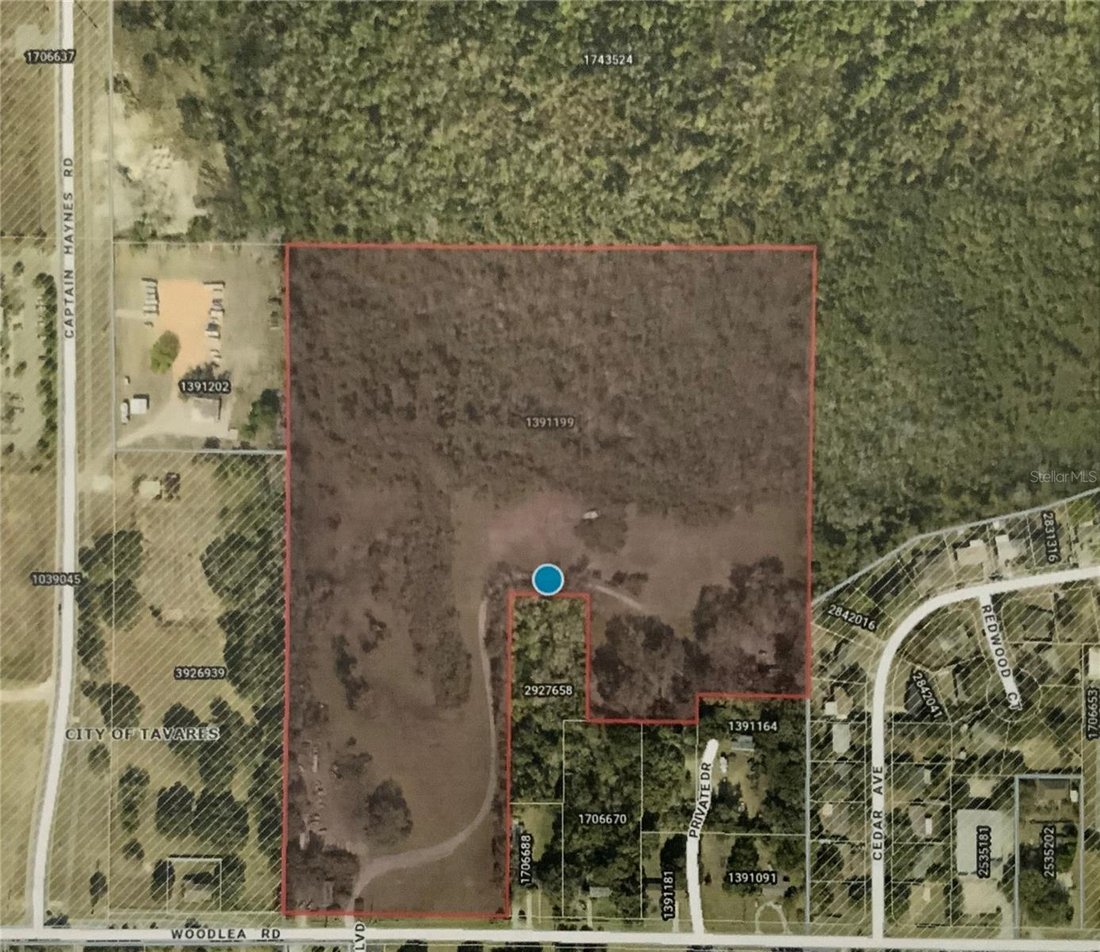 House in Tavares, Florida, United States 1 - 17184718