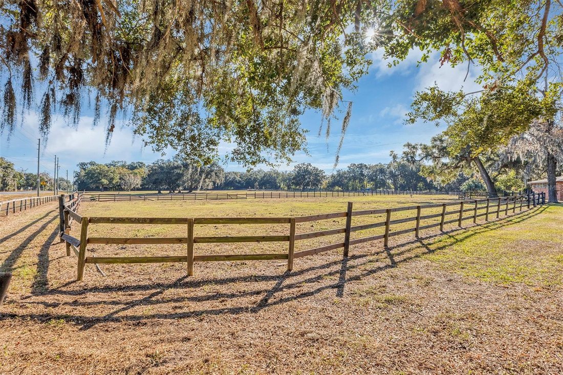 Farm Ranch in Ocala, Florida, United States 2 - 17178368