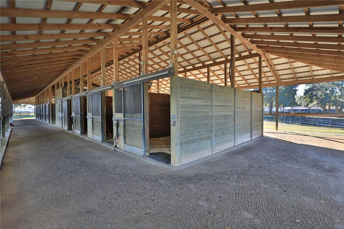 Land in Ocala, Florida, United States 5 - 17180604