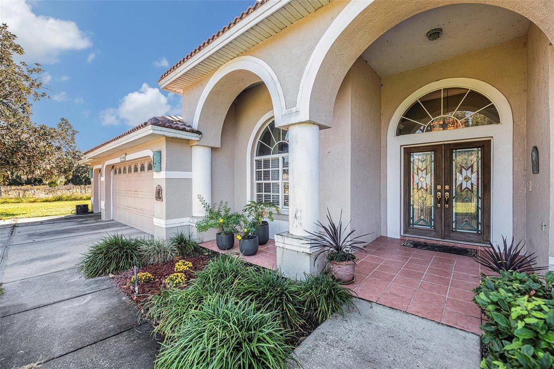 House in Lithia, Florida, United States 3 - 17187584