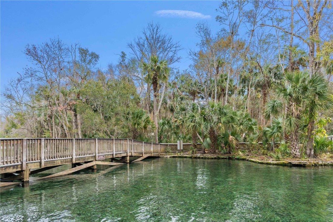 House in Apopka, Florida, United States 3 - 17188278