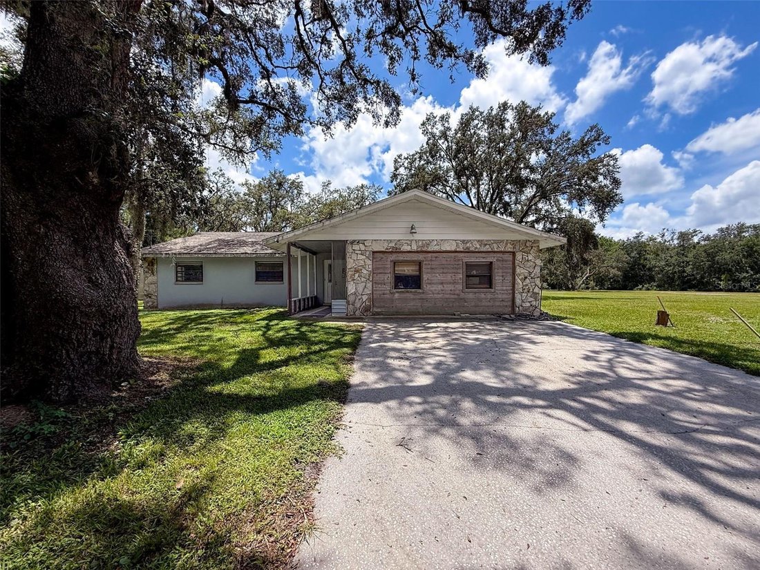 House in Odessa, Florida, United States 1 - 17186409