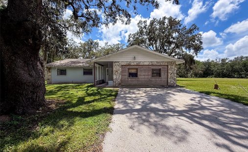 House in Odessa, Florida, United States 1