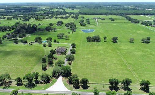 Terrain à Micanopy, Floride, États-Unis 1