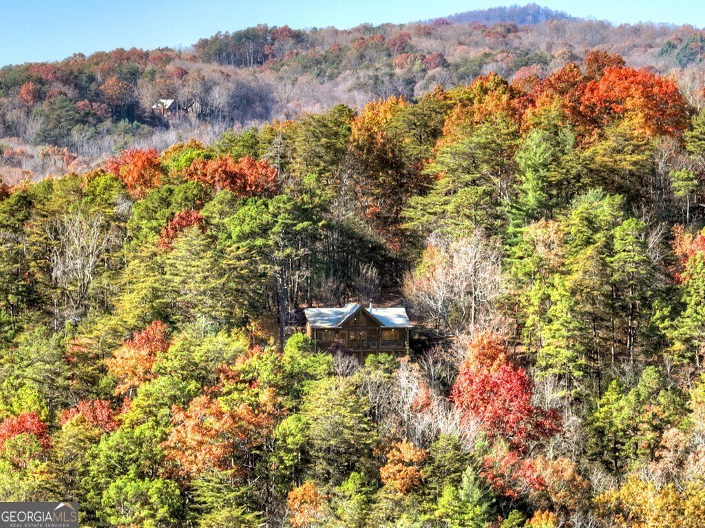 House in Cherry Log, Georgia, United States 2 - 17156548