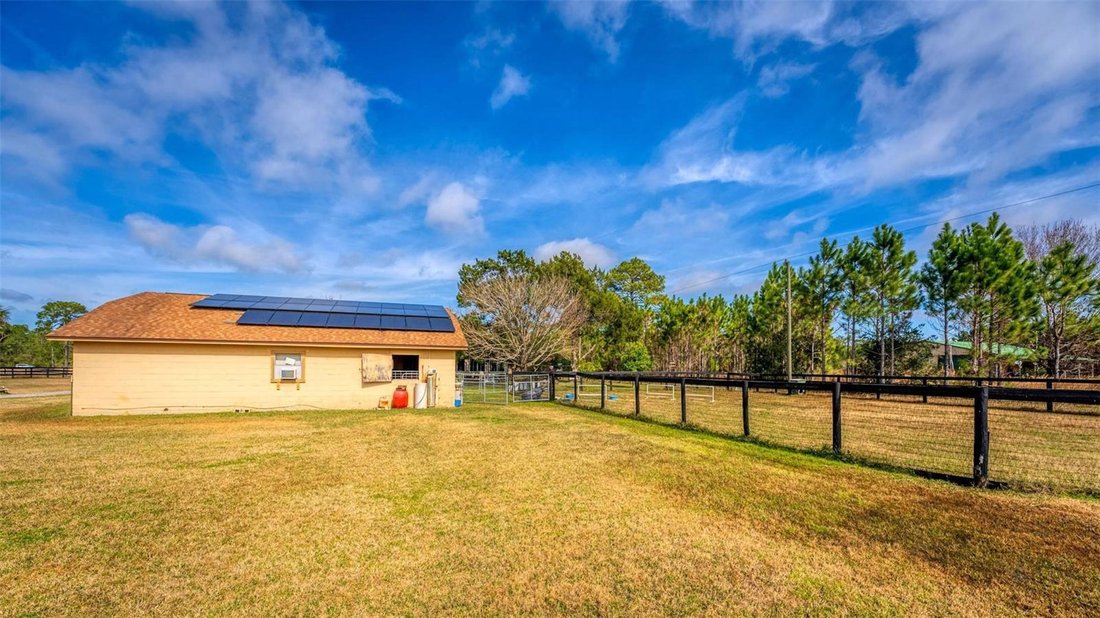 Farm Ranch in Seville, Florida, United States 4 - 17184112