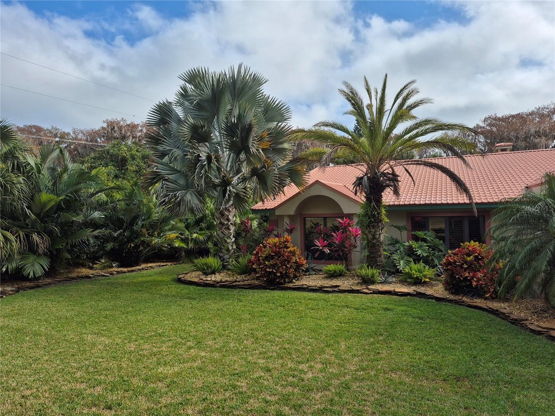 House in Leesburg, Florida, United States 1 - 17185948