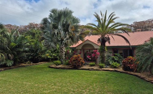 House in Leesburg, Florida, United States 1