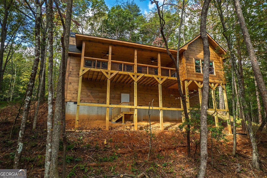 House in Ellijay, Georgia, United States 1 - 17158682
